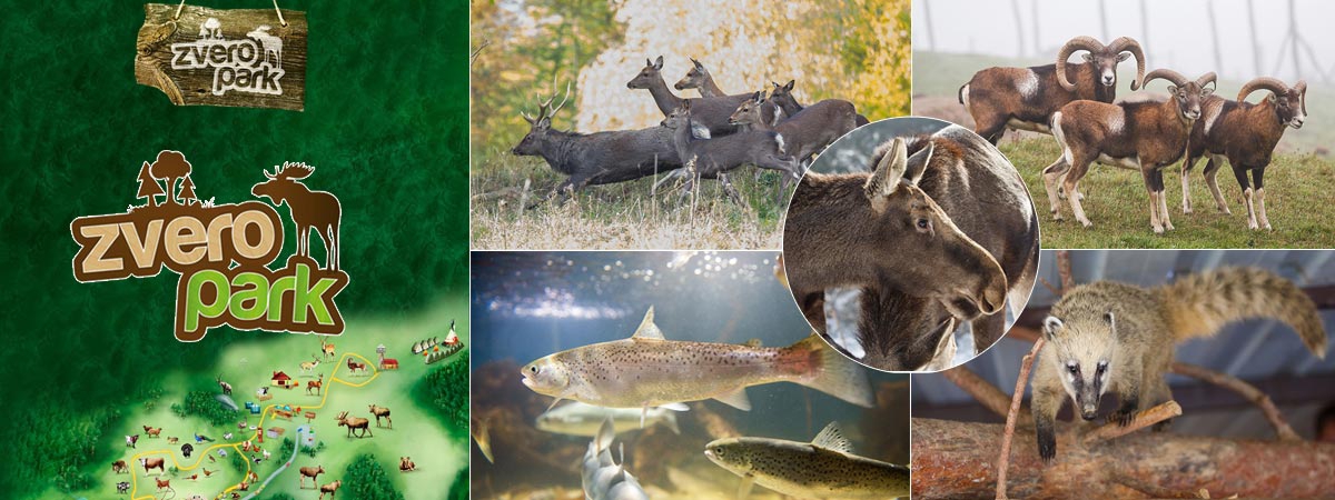 Zveropark - Animal park