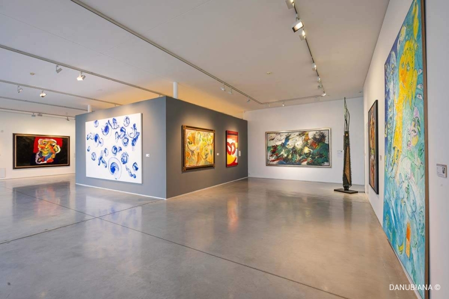 Danubiana - Meulensteen Art Museum
