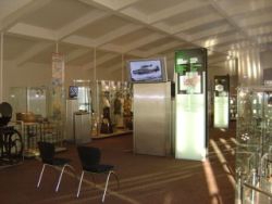Museum SNP