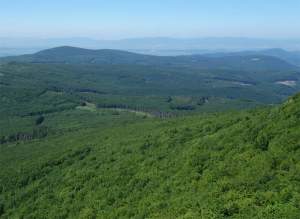 Vihorlat Mountains