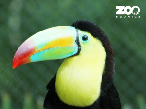 ZOO Bojnice