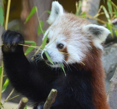 ZOO Košice