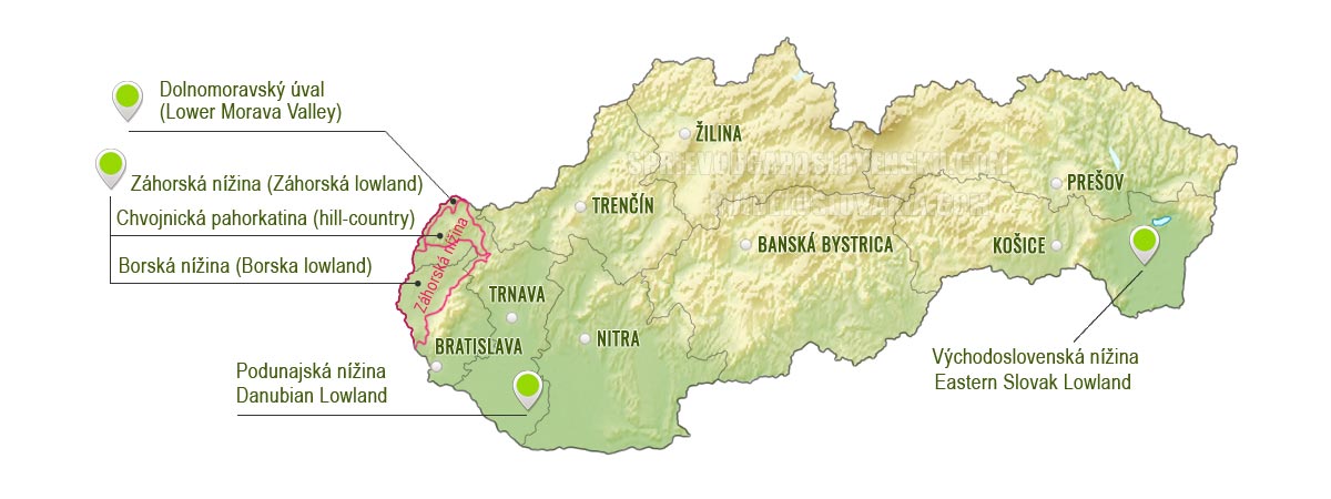 Borska lowland - Borská nížina - mapa