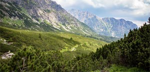 Discover nature